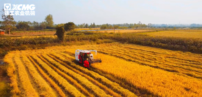 6738ce7216f446f79fcf527d5d4674ec