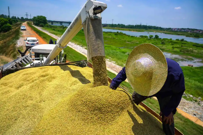 8d3d1255057149d3830aa8cf5585e19a