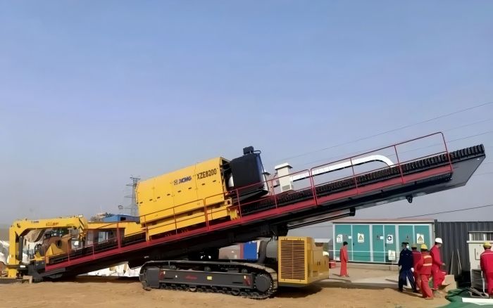 春植但愿，索求k豆钱包“绿色力量”！