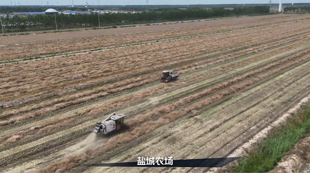 97f16be657ec40a4b2207fcb4e1da6db