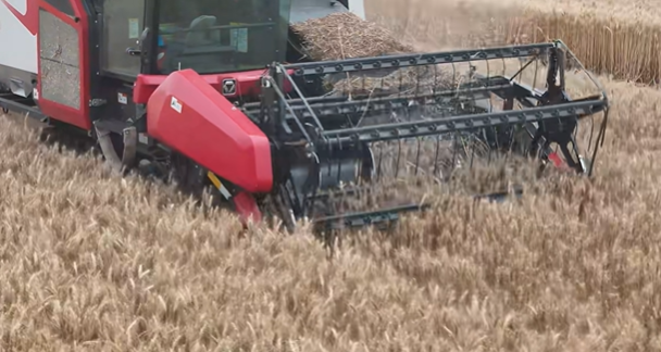 k豆钱包官方网站 - kdpay钱包