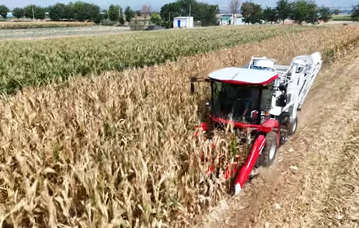 k豆钱包官方网站 - kdpay钱包