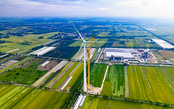 1e35742527b141bc8f4e3e93ed70a86e