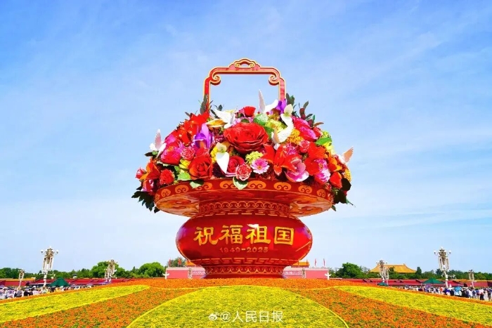 ca74efba42e641a2a65768def6aeb556