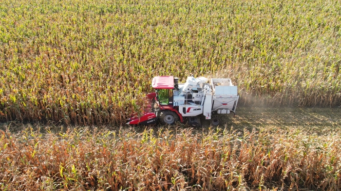 f35d0b2b34d243009254e8875968dcc7