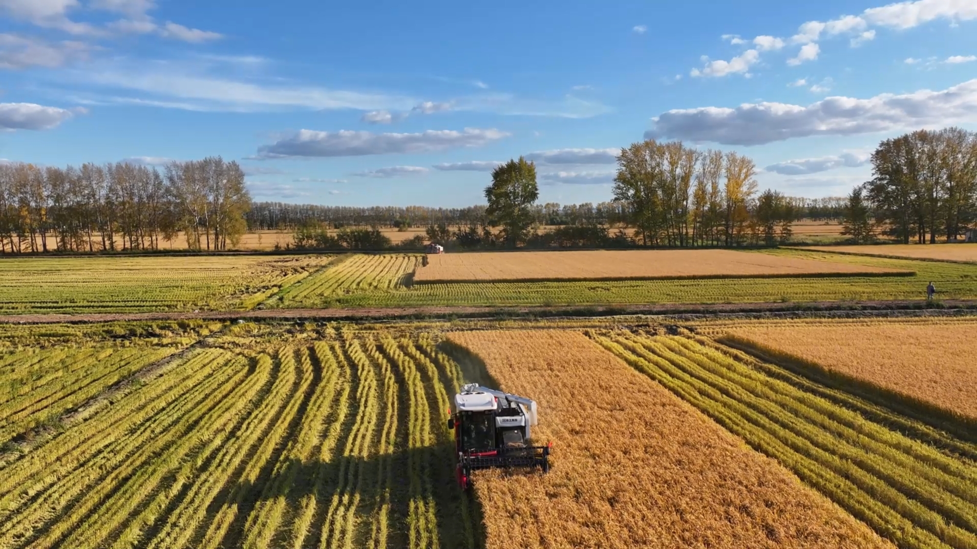 k豆钱包官方网站 - kdpay钱包